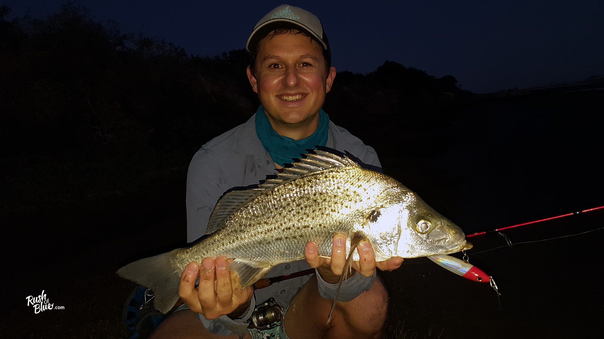 The sweet taste of success - Rush of Blue - Spotted Grunter surface lures